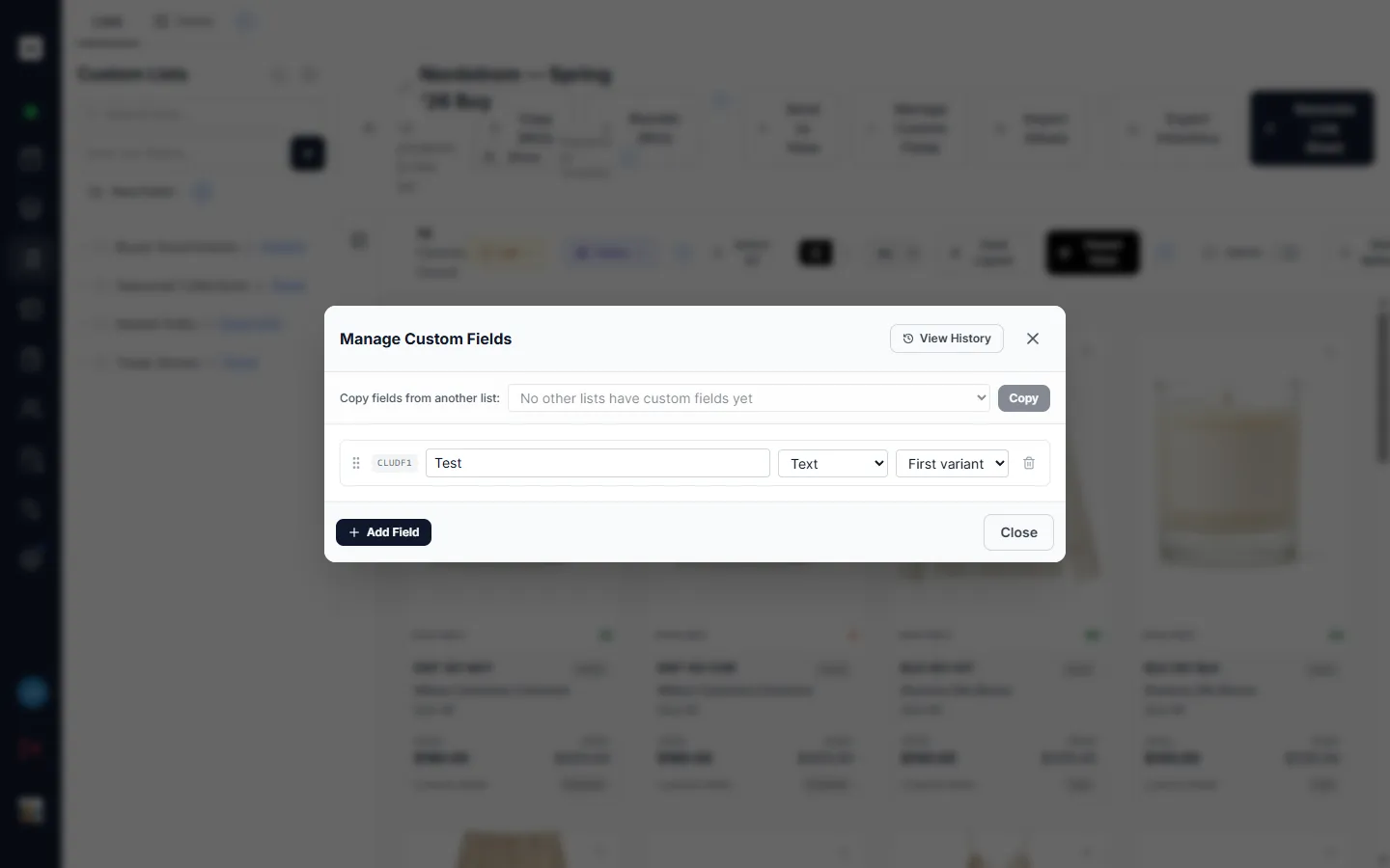 The Manage Custom Fields modal, showing a field row with a name box, type selector, and display selector
